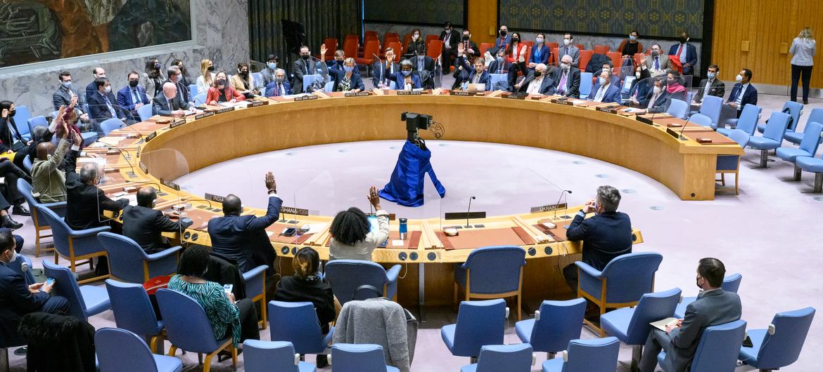 Le Conseil de sécurité des Nations unies