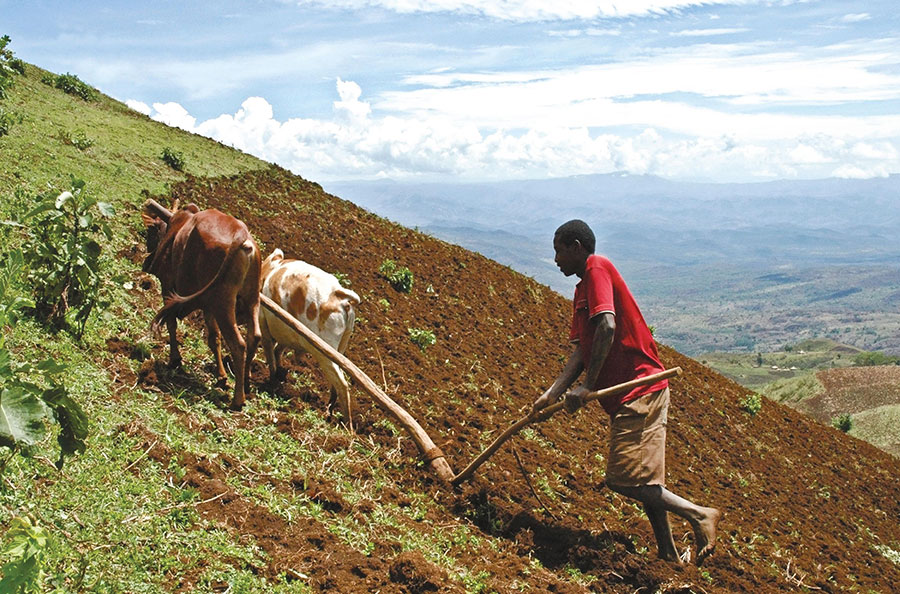 Agriculture