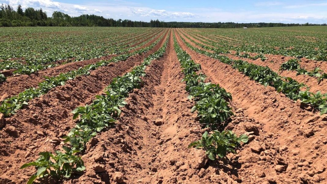Agriculture