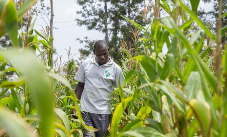 Une production agricole