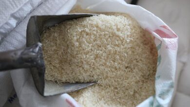 RIz