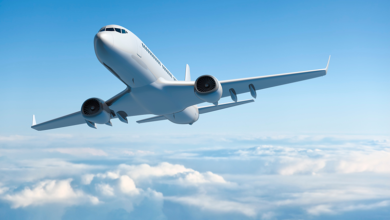 Avion