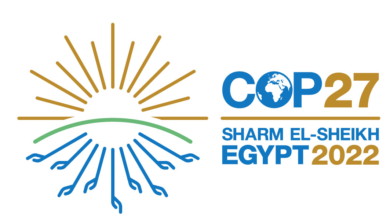 COP 27