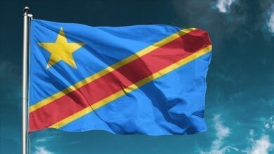 Drapeau de la RDC