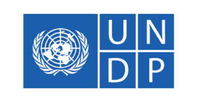 Logo PNUD