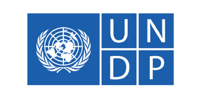 Logo PNUD