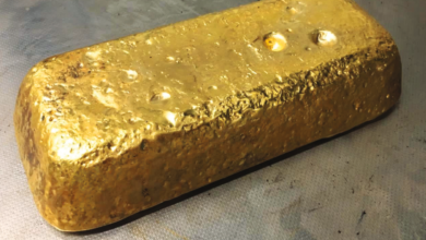 1 lingot d’or