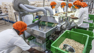 Agro-industrie au Bénin