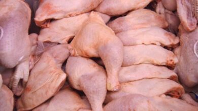 Poulets congelés