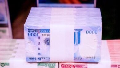Les nouveaux billets de Naira