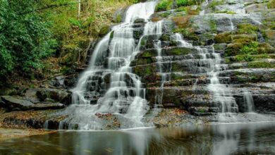 Les cascades de Man