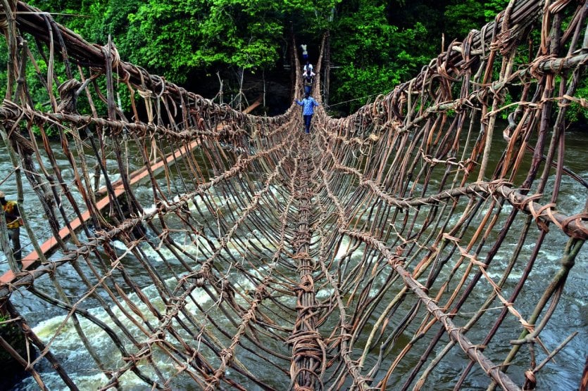 pont de lianes