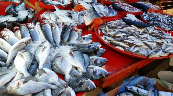 pêche de poissons