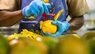 Usine de transformation agro-industrie