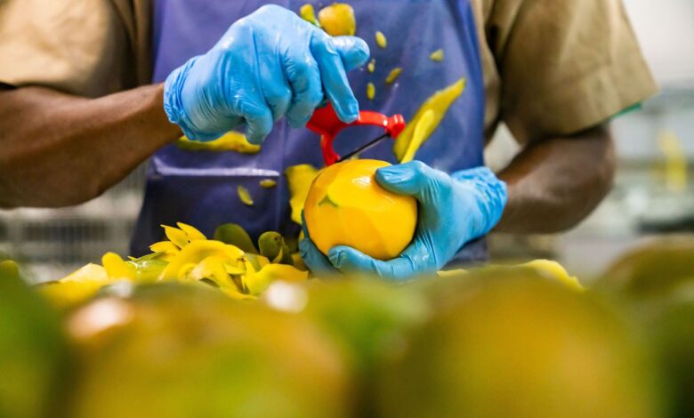 Usine de transformation agro-industrie
