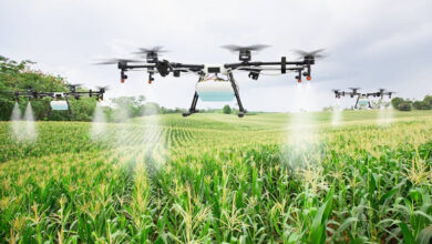 Innovation agroalimentaire en Afrique