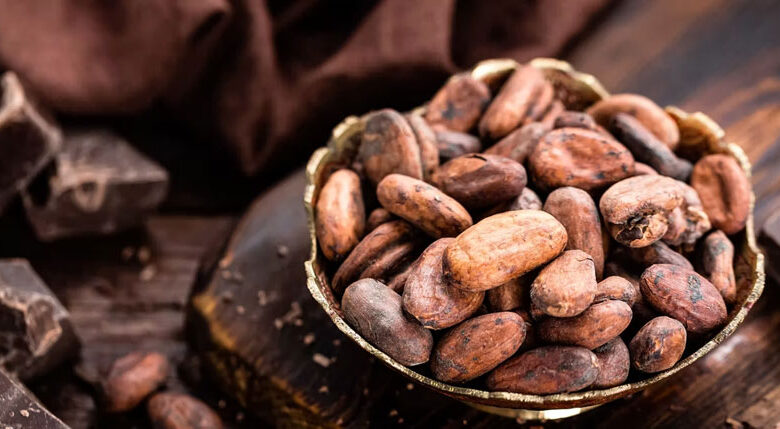 cacao et chocolat